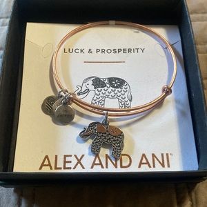 Alex and Ani Luck and Prosperity Bangle